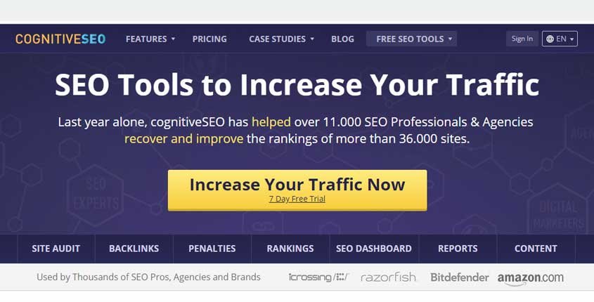 CognitiveSEO Tool